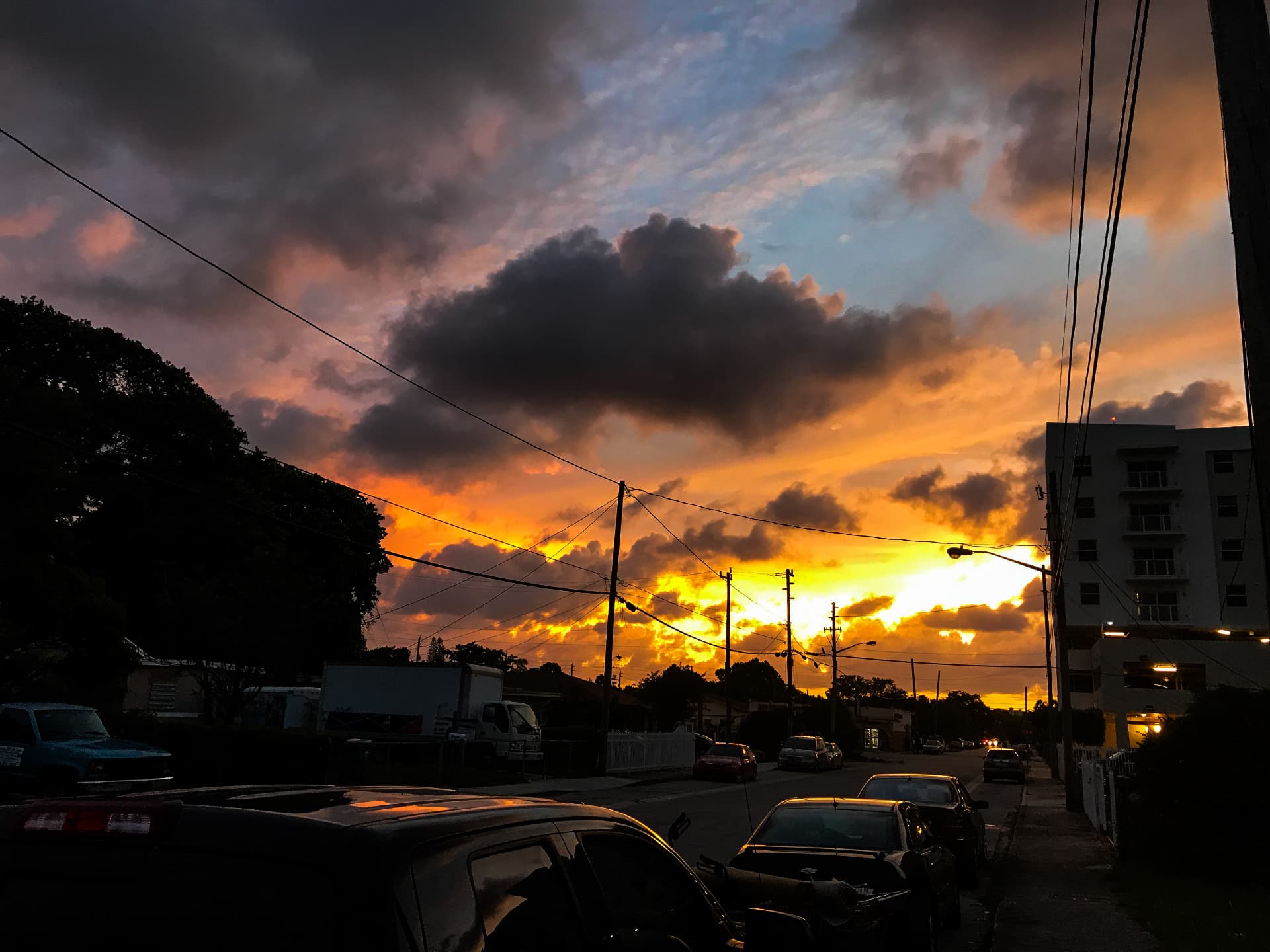 Golden sunset down a residential street with parked cars